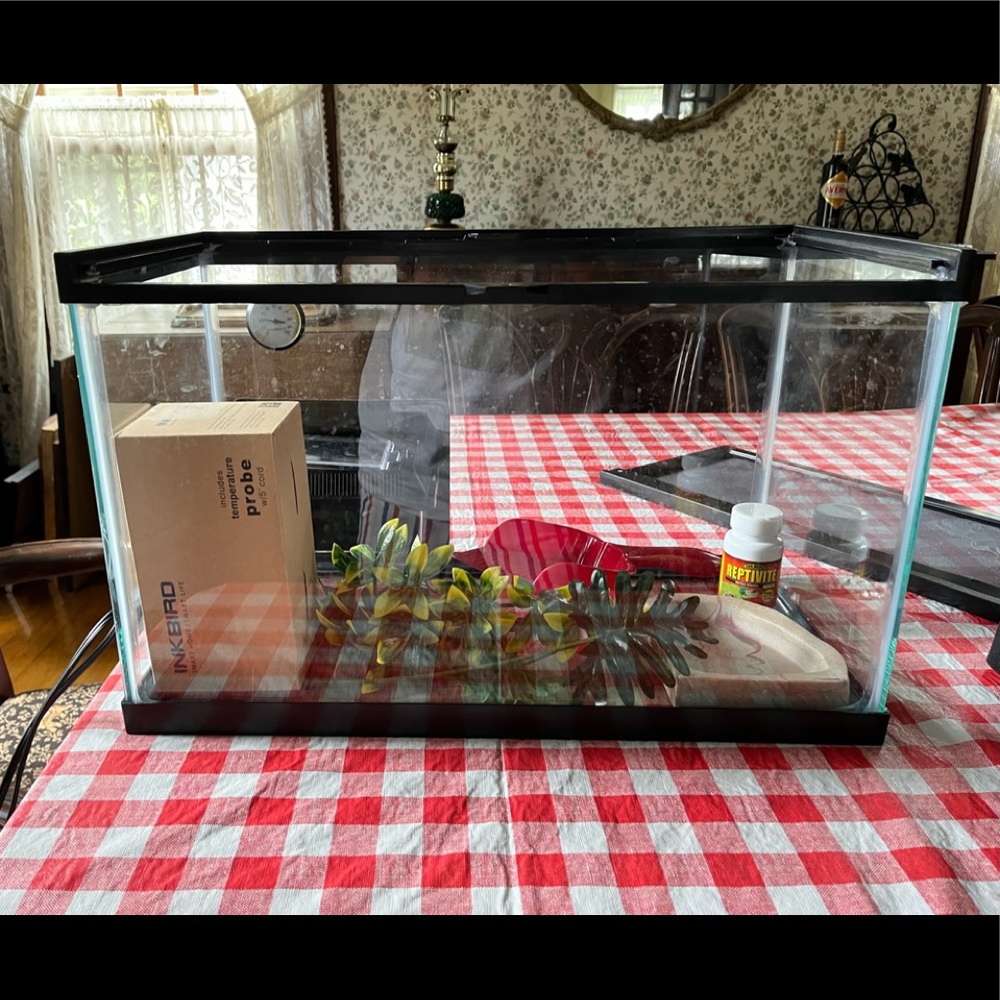 Reptile/Amphibian Full setup